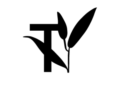 Teaology Skincare Teaology Skincare